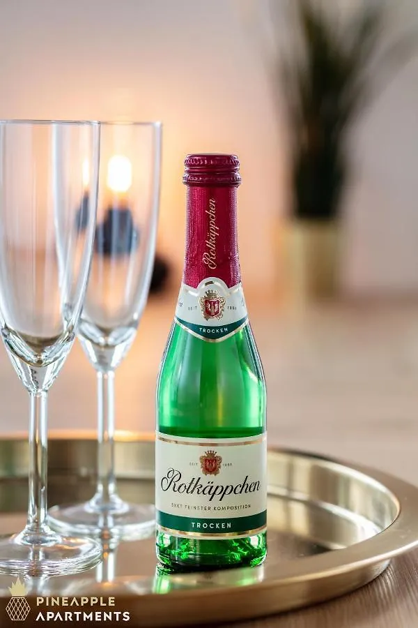 Pineapple Apartments Dresden Altstadt V - 112 Qm - 1X Free Parking Deutschland