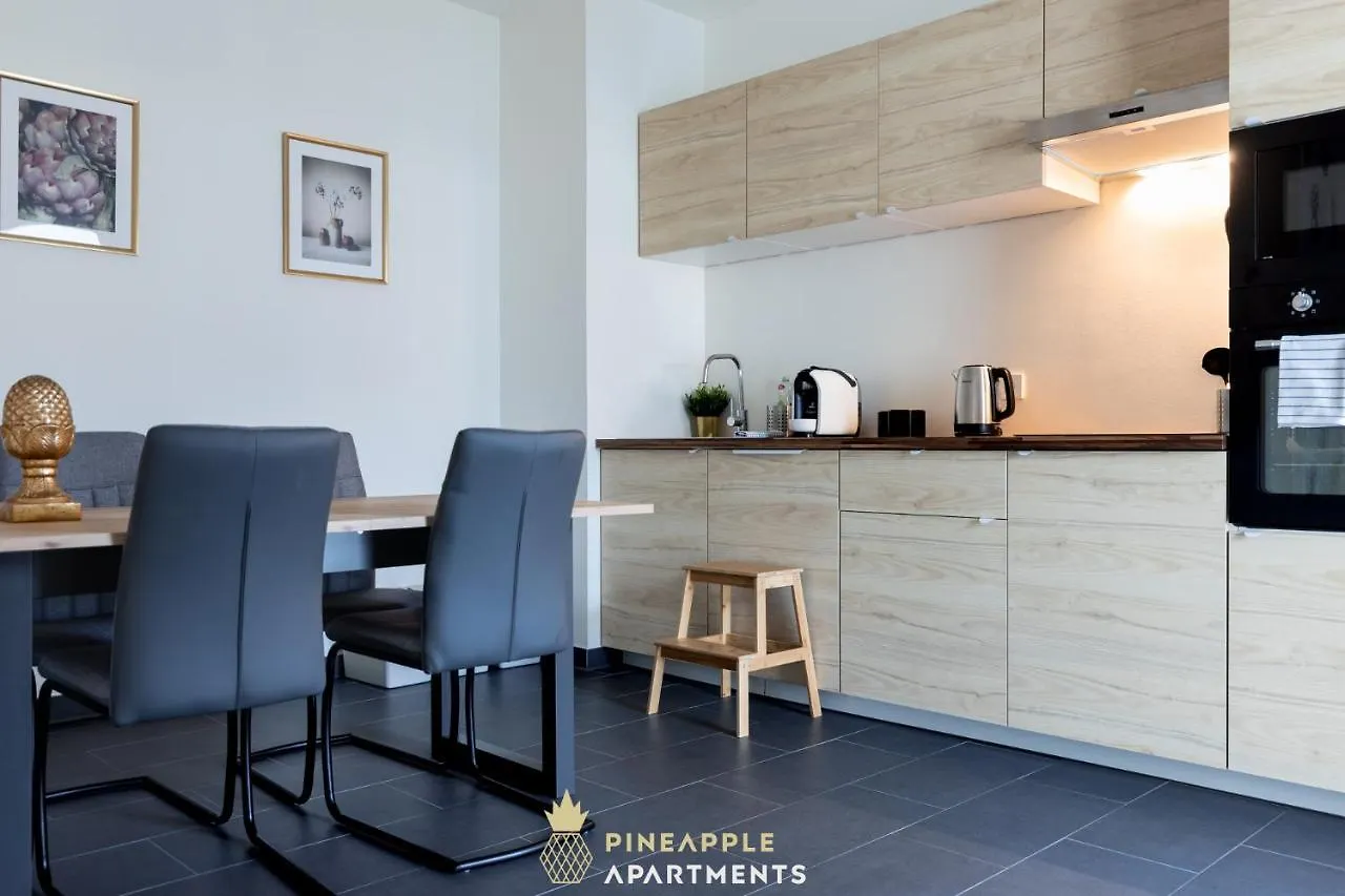 Pineapple Apartments Dresden Altstadt V - 112 Qm - 1X Free Parking