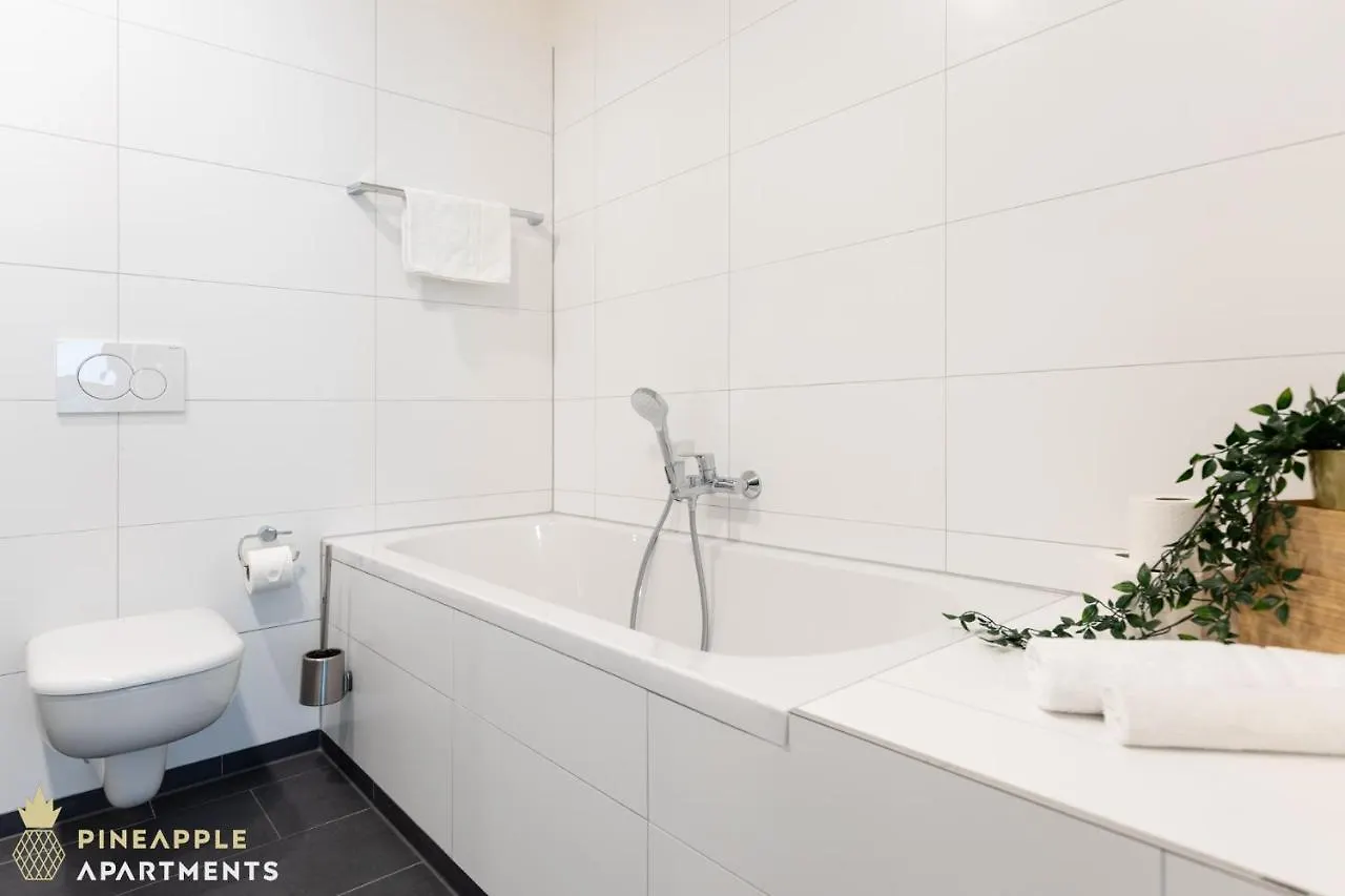 Pineapple Apartments Dresden Altstadt V - 112 Qm - 1X Free Parking 0*,