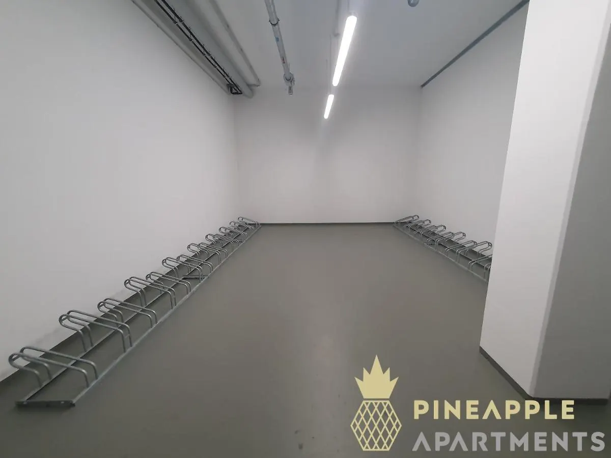 Pineapple Apartments Dresden Altstadt V - 112 Qm - 1X Free Parking Allemagne